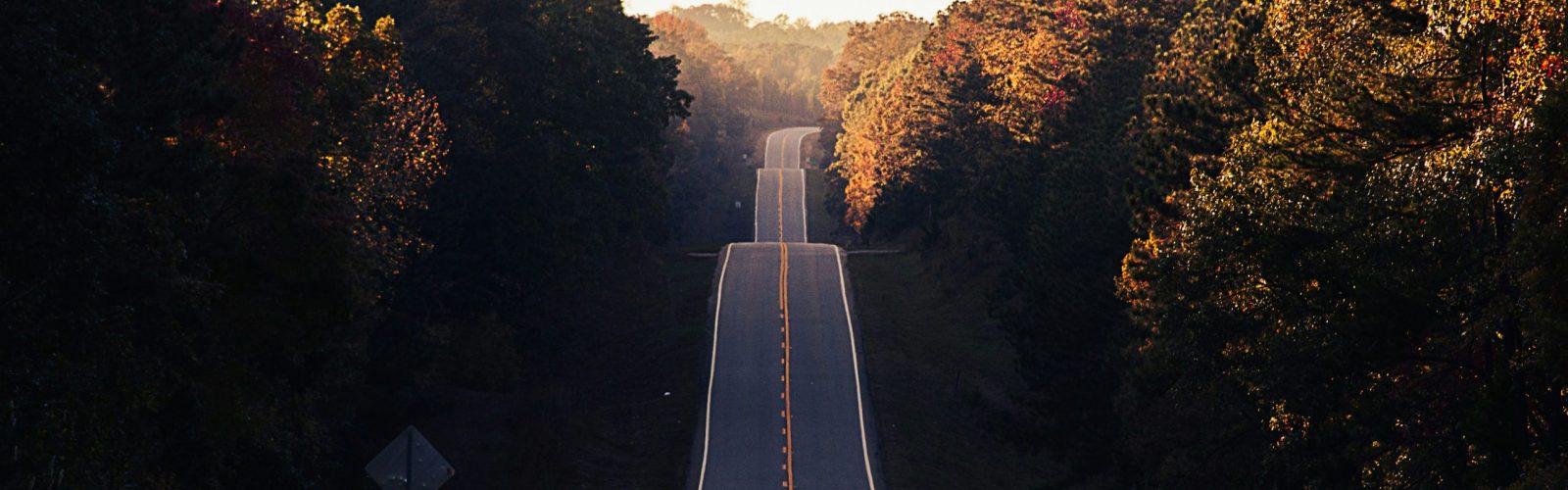 An empty, straight highway climbs steeply over several rolling hills, disappearing into the bright, hazy sunlight in the distance. The road is flanked closely by dense, dark forest on both sides, with the tree tops on either side catching warm, golden sunlight.